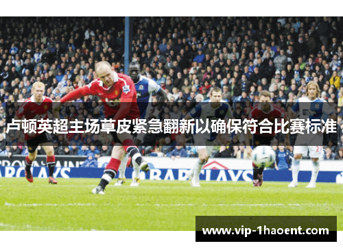 卢顿英超主场草皮紧急翻新以确保符合比赛标准